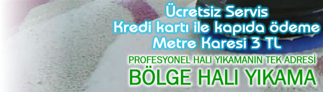TEMZLK GRSEL